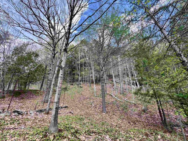 5494 VT Route 30, Townshend, VT 05353