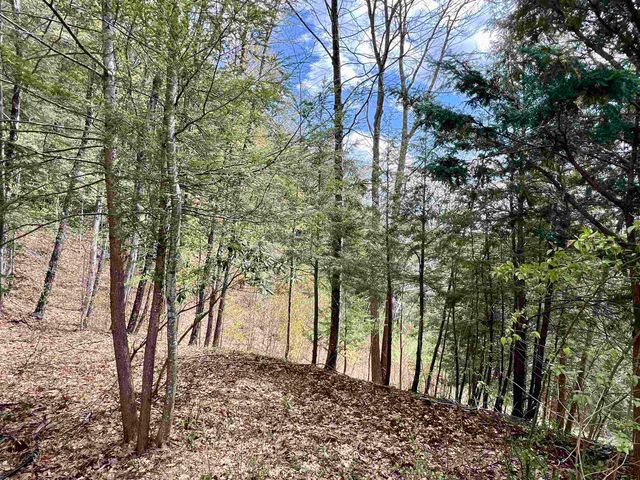 5494 VT Route 30, Townshend, VT 05353