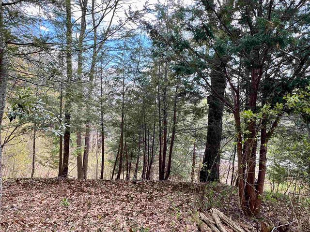 5494 VT Route 30, Townshend, VT 05353