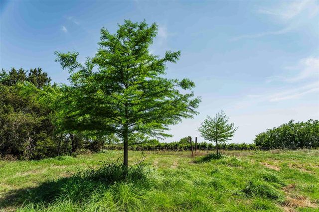TBD Tract 2 County Road 203, Burnet, TX 78611