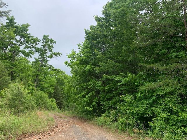 46A&46B Scottie Mountain Circle, Murphy, NC 28906