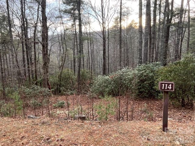 Lot 114 Huckleberry Ridge Lane, Zirconia, NC 28790