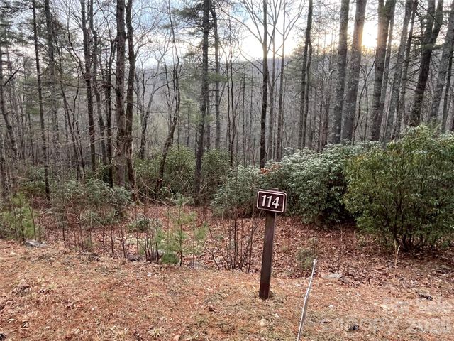 Lot 114 Huckleberry Ridge Lane, Zirconia, NC 28790