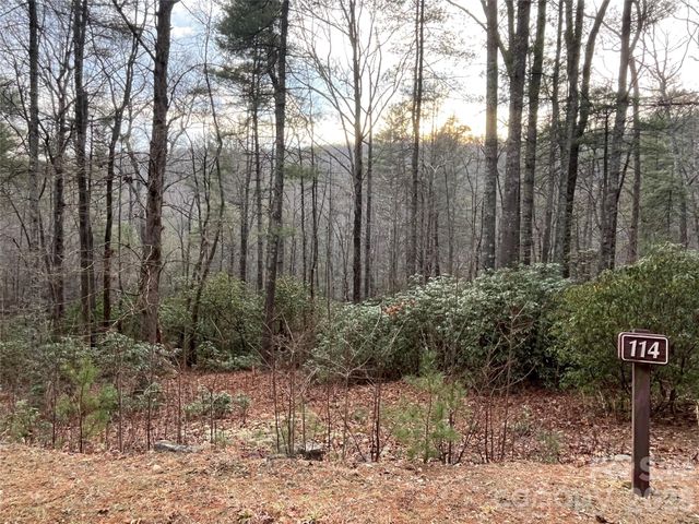 Lot 114 Huckleberry Ridge Lane, Zirconia, NC 28790