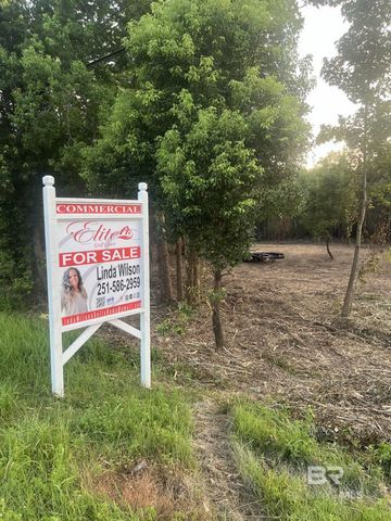 0 St Hwy 59, Stapleton, AL 36578