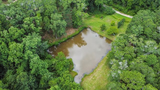 317 Holmes Rd, Newton, AL 36352