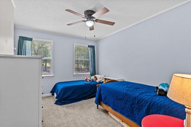 317 Holmes Rd, Newton, AL 36352