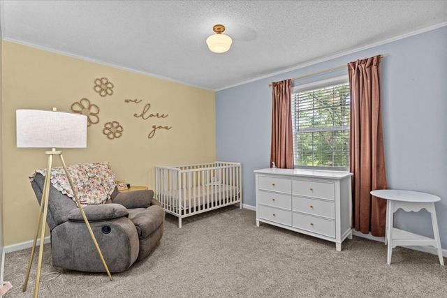 317 Holmes Rd, Newton, AL 36352