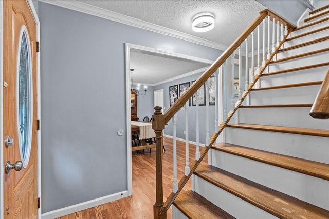 317 Holmes Rd, Newton, AL 36352