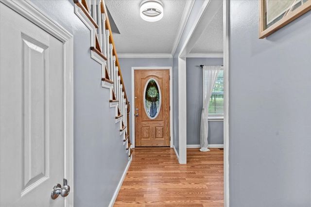 317 Holmes Rd, Newton, AL 36352