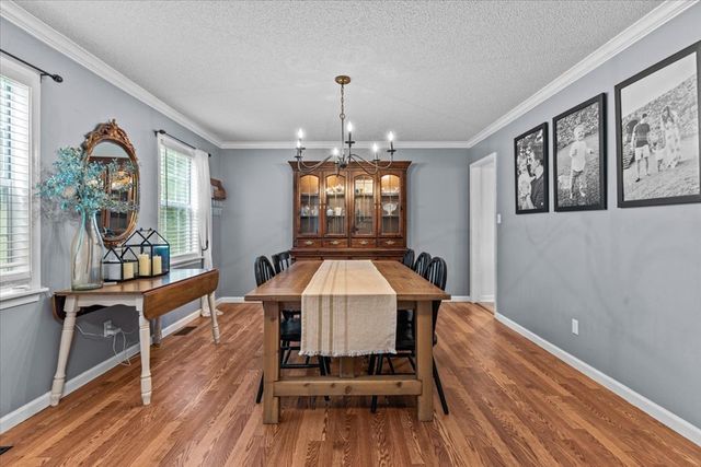 317 Holmes Rd, Newton, AL 36352