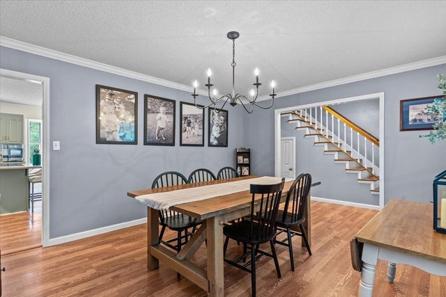 317 Holmes Rd, Newton, AL 36352