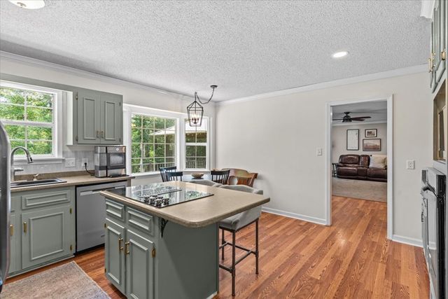 317 Holmes Rd, Newton, AL 36352