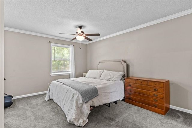 317 Holmes Rd, Newton, AL 36352