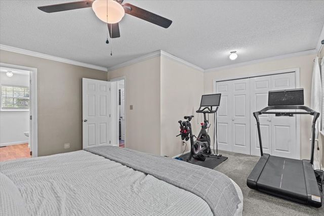 317 Holmes Rd, Newton, AL 36352