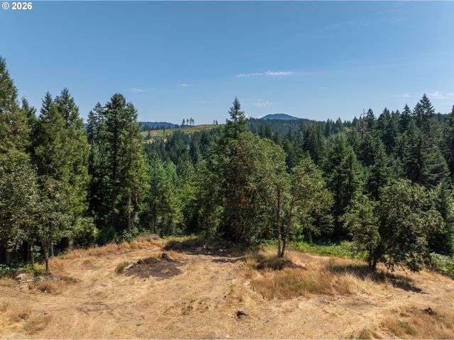 85241 JESSIE Ln, Eugene, OR 97405
