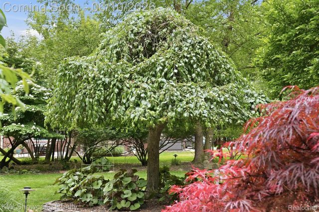27221 Apple Tree Lane, Franklin Village, MI 48025