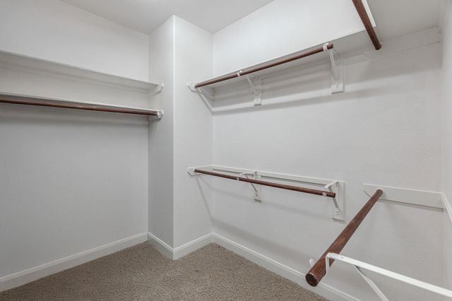 30 Fury Ranch Place, The Woodlands, TX 77389