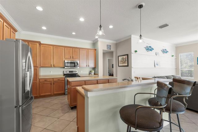 15321 VIREOGLEN LANE, Lithia, FL 33547