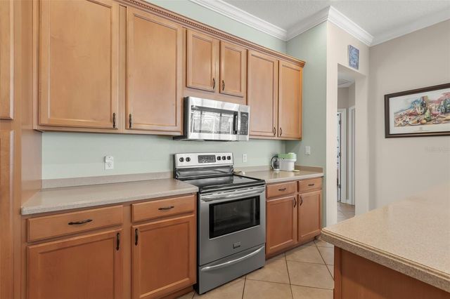 15321 VIREOGLEN LANE, Lithia, FL 33547