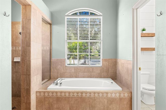 15321 VIREOGLEN LANE, Lithia, FL 33547