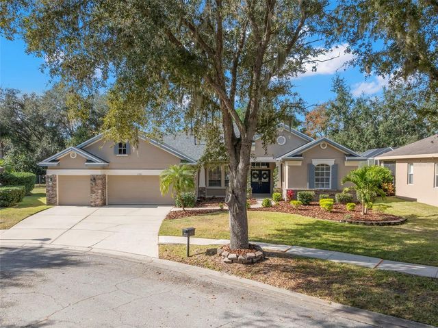 15321 VIREOGLEN LANE, Lithia, FL 33547