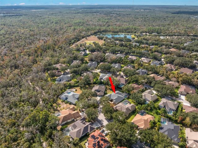 15321 VIREOGLEN LANE, Lithia, FL 33547