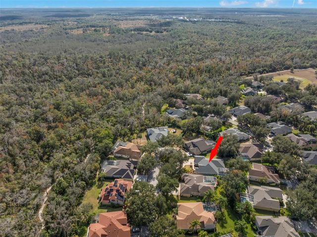 15321 VIREOGLEN LANE, Lithia, FL 33547