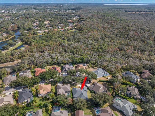 15321 VIREOGLEN LANE, Lithia, FL 33547