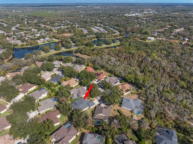 15321 VIREOGLEN LANE, Lithia, FL 33547