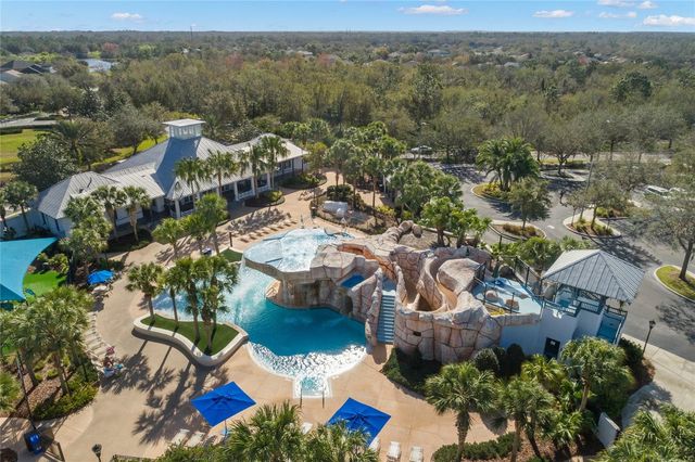 15321 VIREOGLEN LANE, Lithia, FL 33547