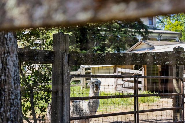 21730 Burndale Rd, Sonoma, CA 95476