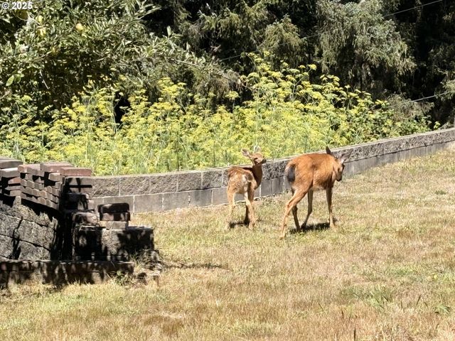 93924 KIRKENDALL Ln, North Bend, OR 97459