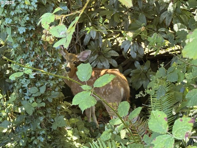 93924 KIRKENDALL Ln, North Bend, OR 97459