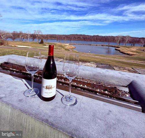 43287 WARWICK HILLS CT, Leesburg, VA 20176