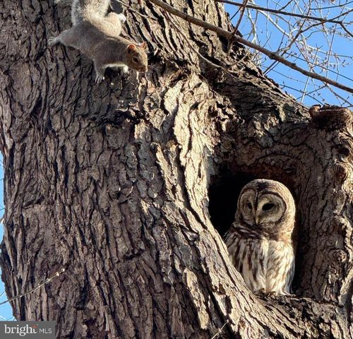 43287 WARWICK HILLS CT, Leesburg, VA 20176