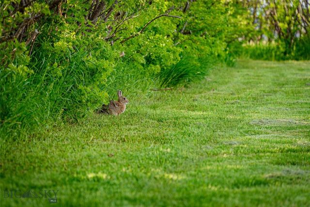 745 Rocky Road, Bozeman, MT 59718