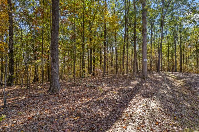 4 County Road 29, Riceville, TN 37370