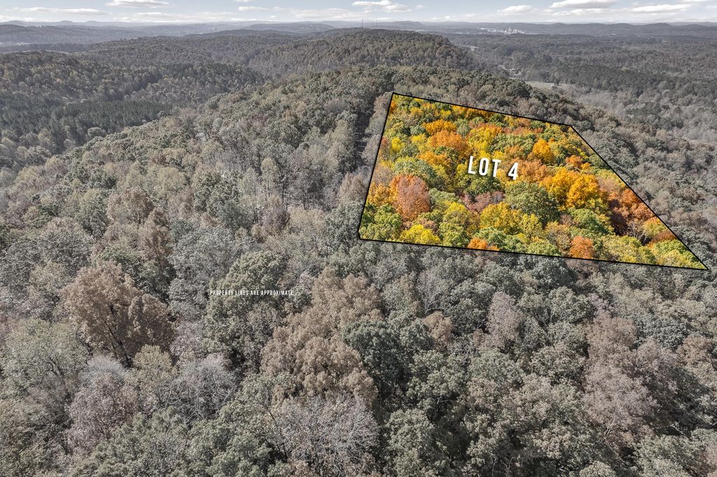 4 County Road 29, Riceville, TN 37370