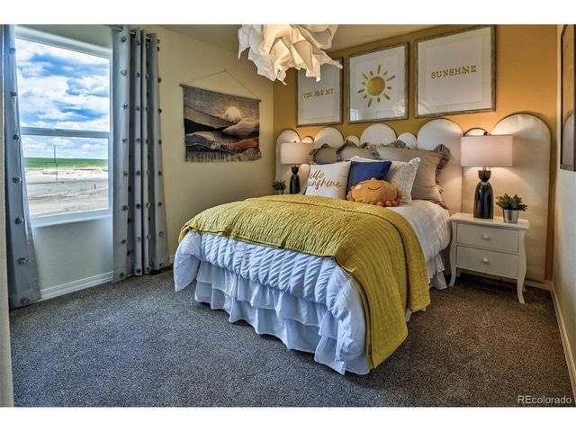 799 N Carrie St, Watkins, CO 80137