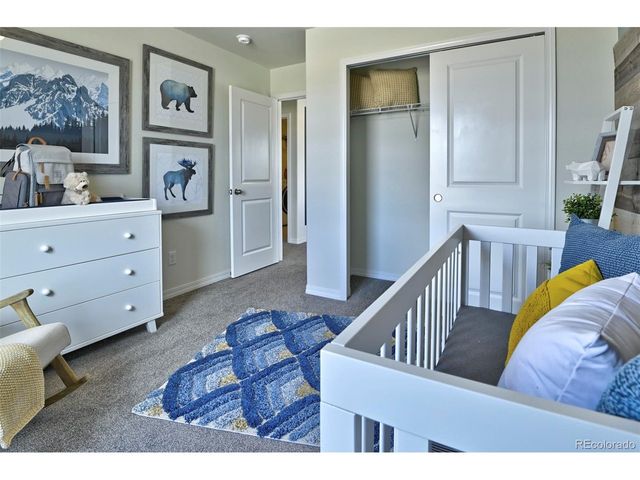 799 N Carrie St, Watkins, CO 80137