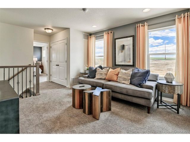 799 N Carrie St, Watkins, CO 80137