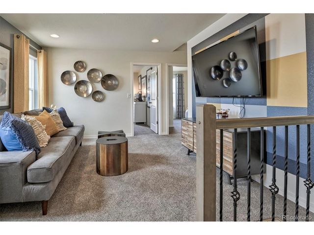799 N Carrie St, Watkins, CO 80137