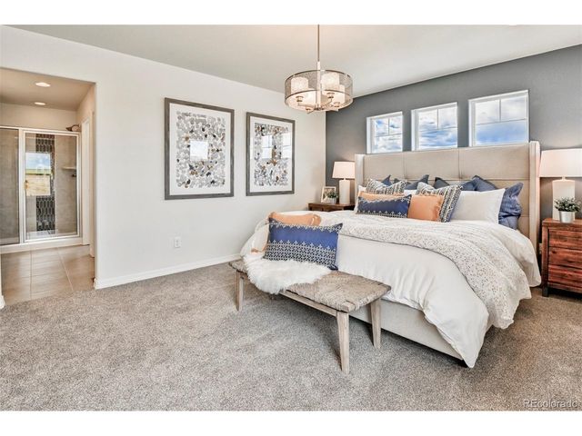 799 N Carrie St, Watkins, CO 80137