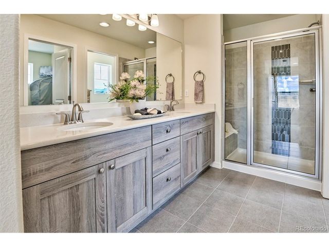 799 N Carrie St, Watkins, CO 80137