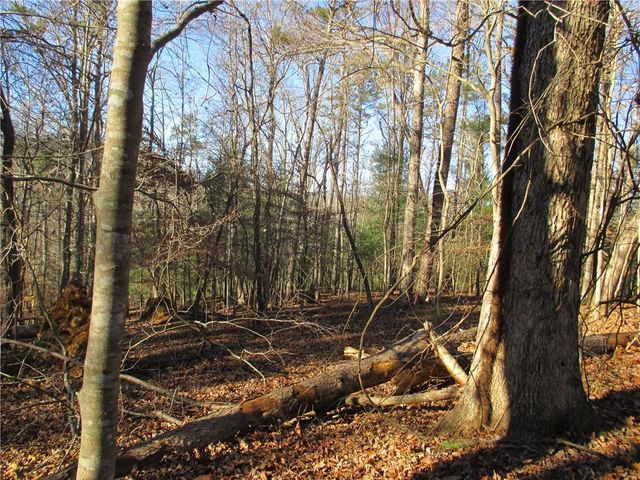0 Huron Court, Ellijay, GA 30540