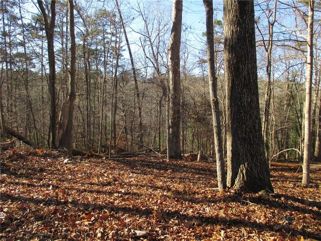 0 Huron Court, Ellijay, GA 30540