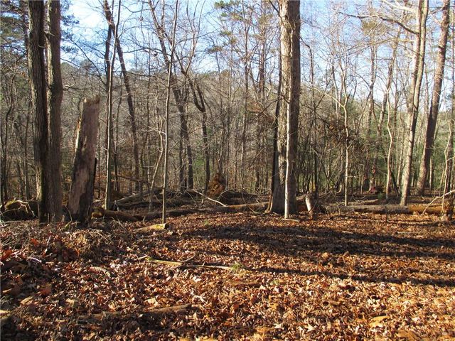 0 Huron Court, Ellijay, GA 30540