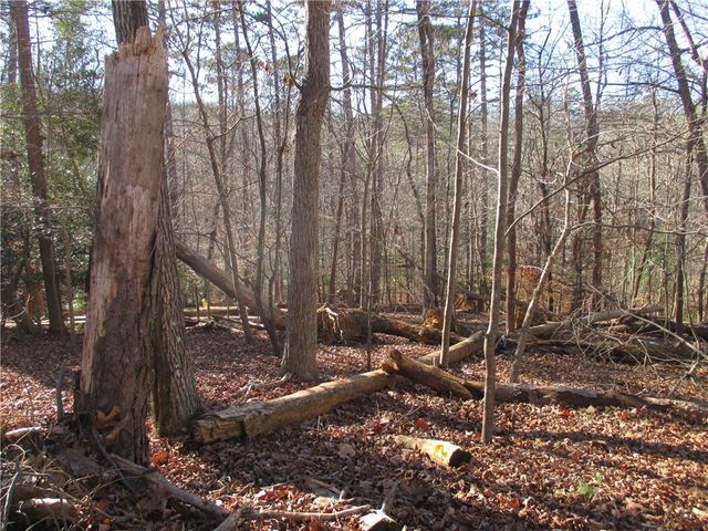 0 Huron Court, Ellijay, GA 30540