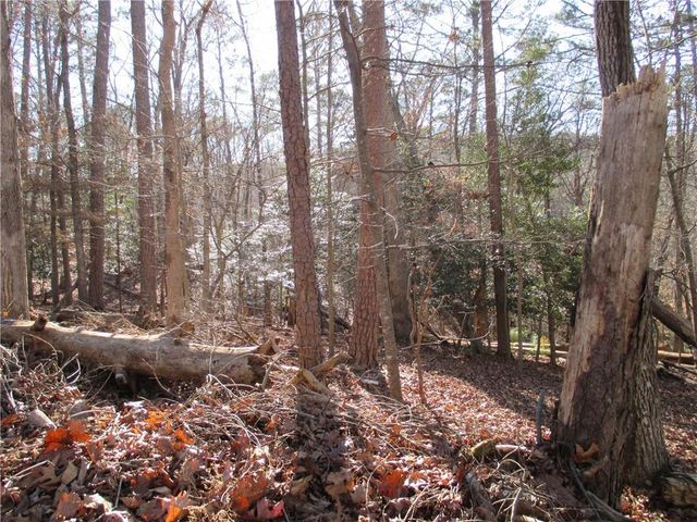 0 Huron Court, Ellijay, GA 30540